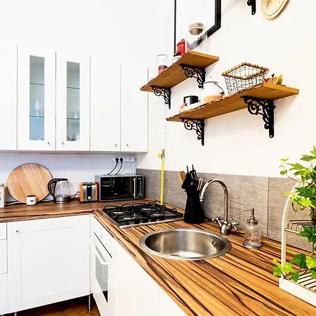 Peace In Downtown 布达佩斯